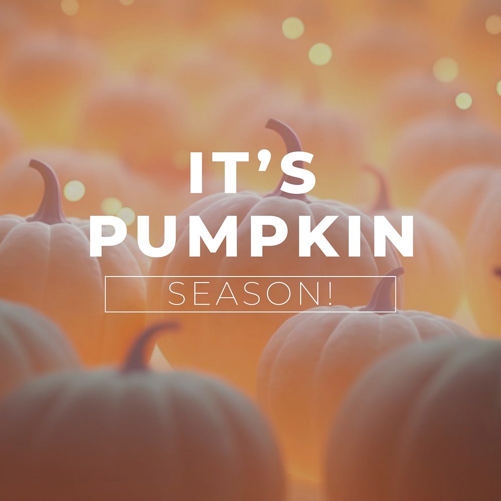 Pumpkin season quote Instagram post template
