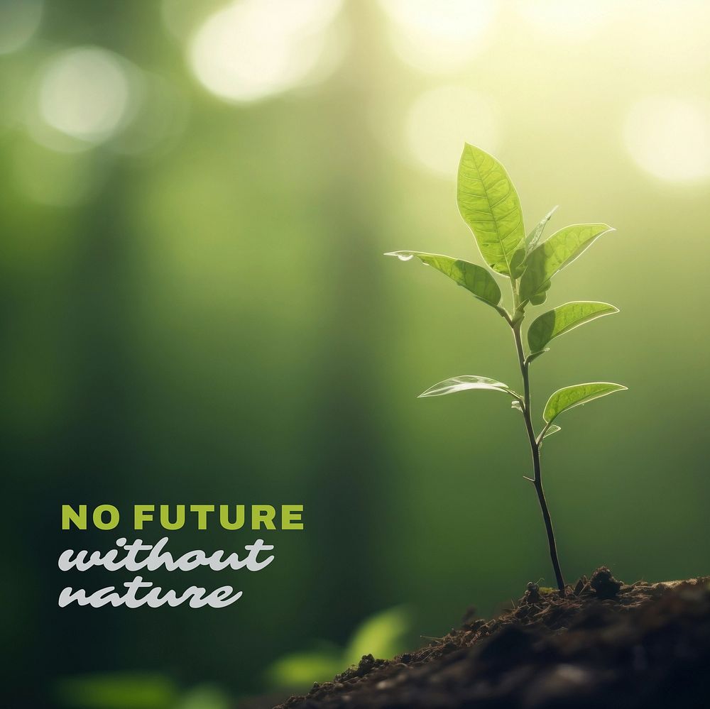 Nature  quote Instagram post template