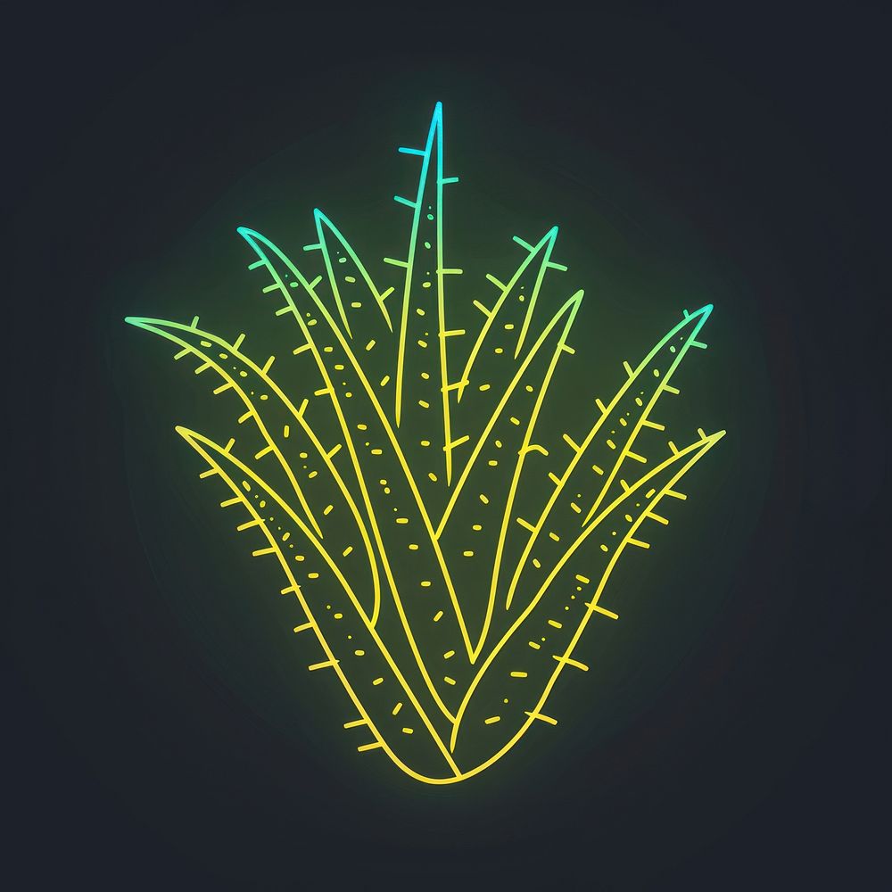 Aloe vera icon neon blackboard fireworks.