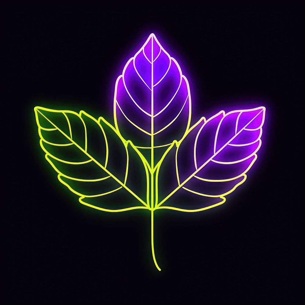 Leaf icon neon astronomy lighting.