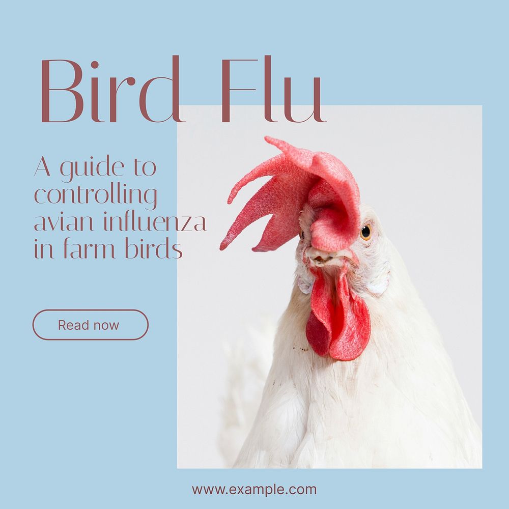 Bird flu Facebook post template, editable social media ad