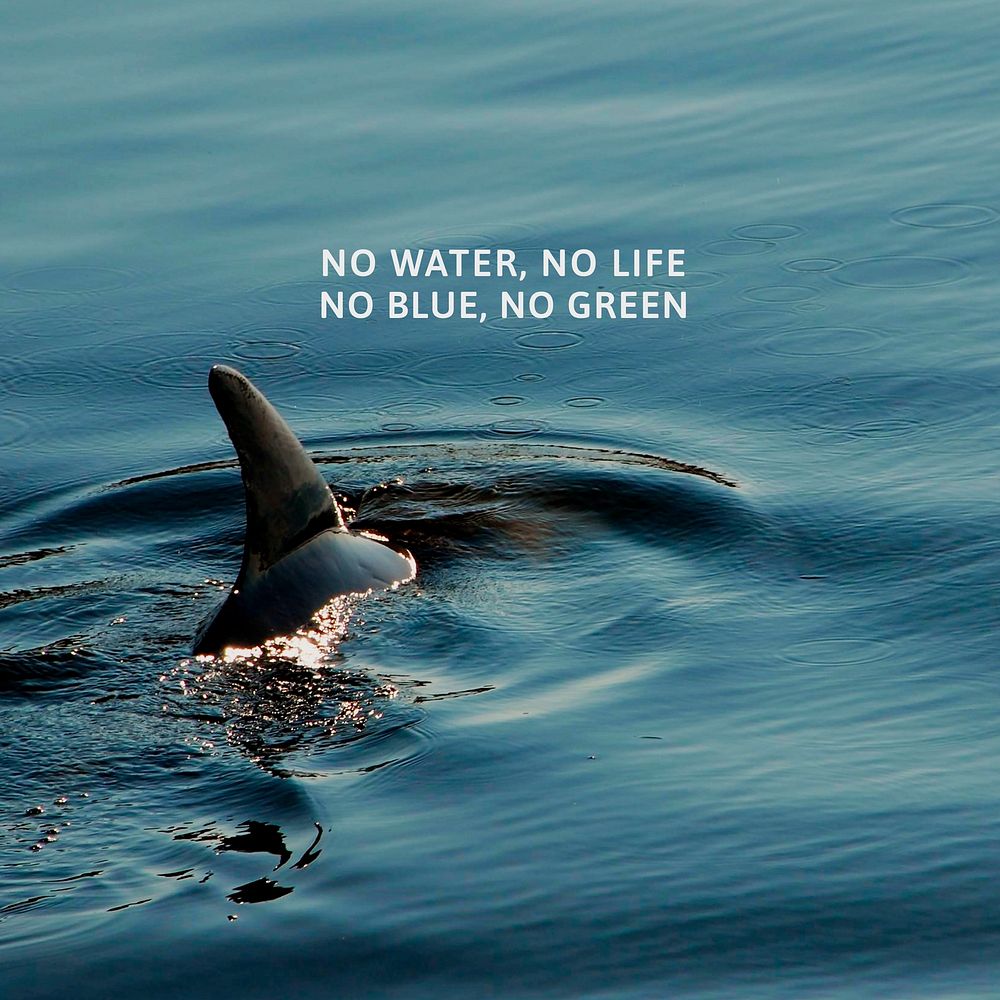 Save oceans Facebook post template, editable text