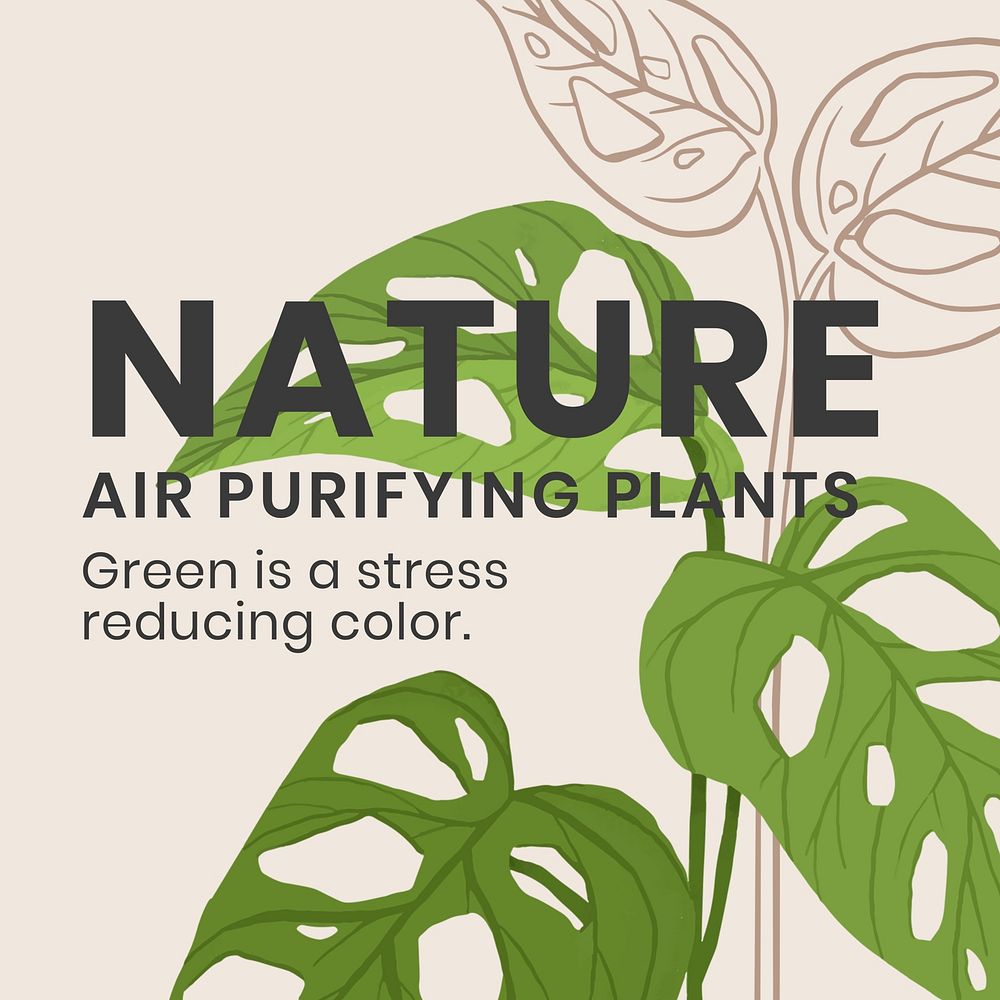 Plant shop  Instagram post template  design