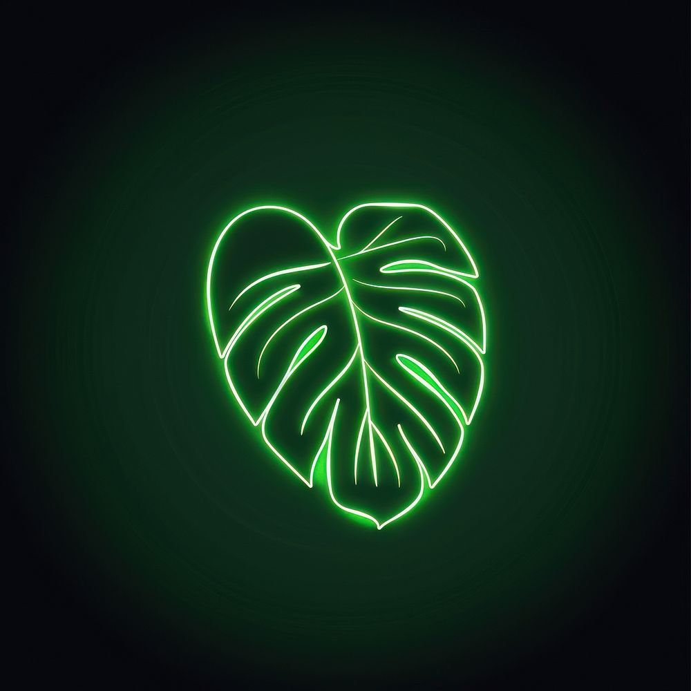 Monstera icon light plant leaf.
