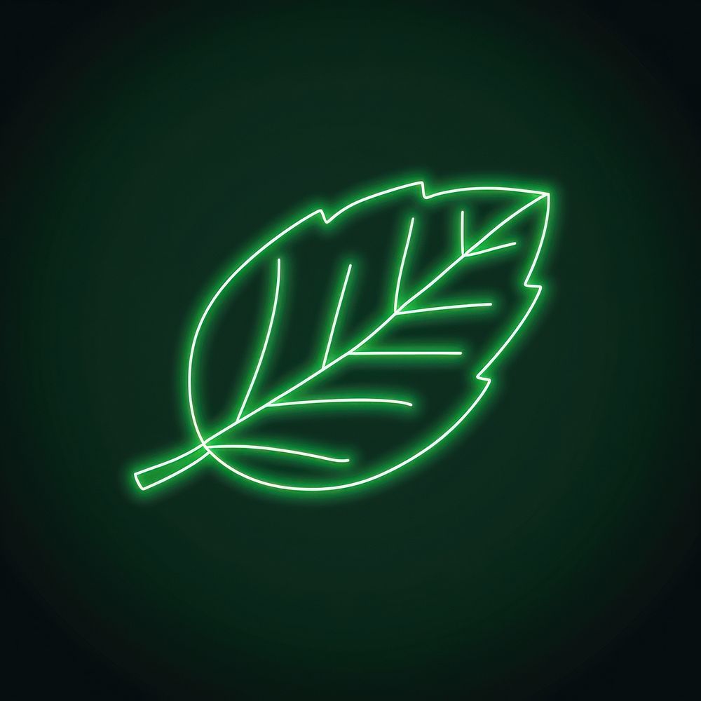 Leaf icon neon blackboard light.