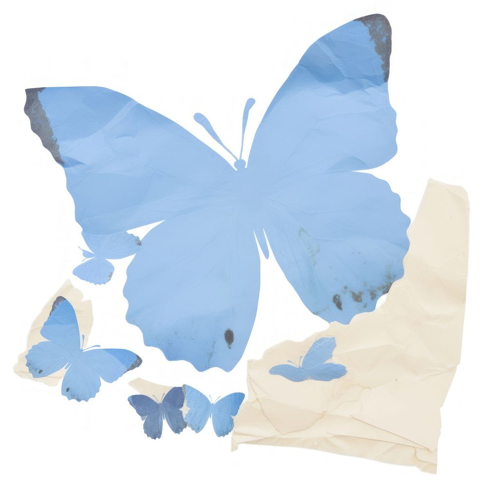 Blue butterfly ripped paper painting blossom plastic.