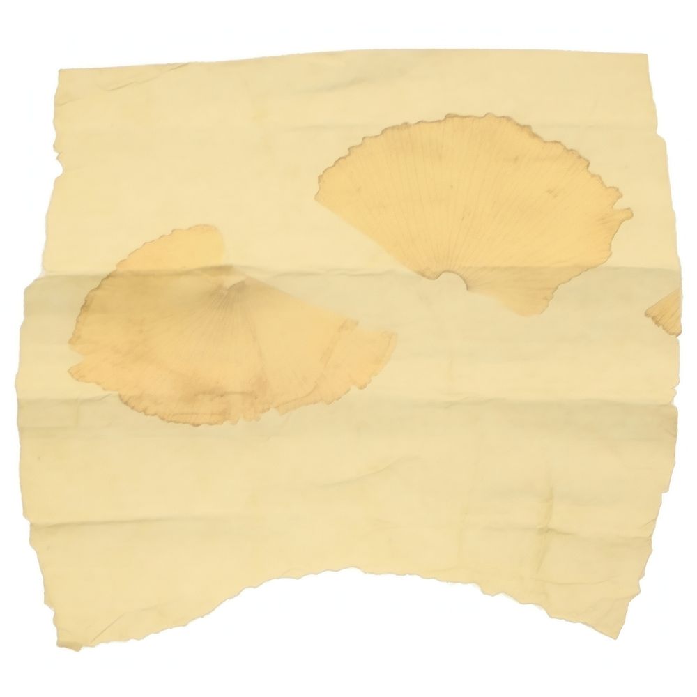 Ginkgo Ripped Paper Text Diaper Free Photo Rawpixel