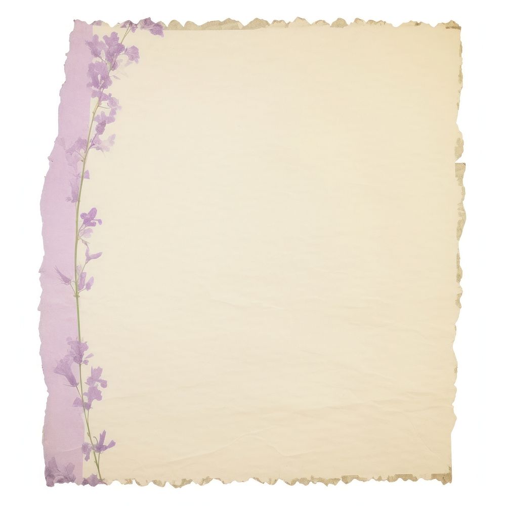 Lilac ripped paper blackboard cushion blossom.