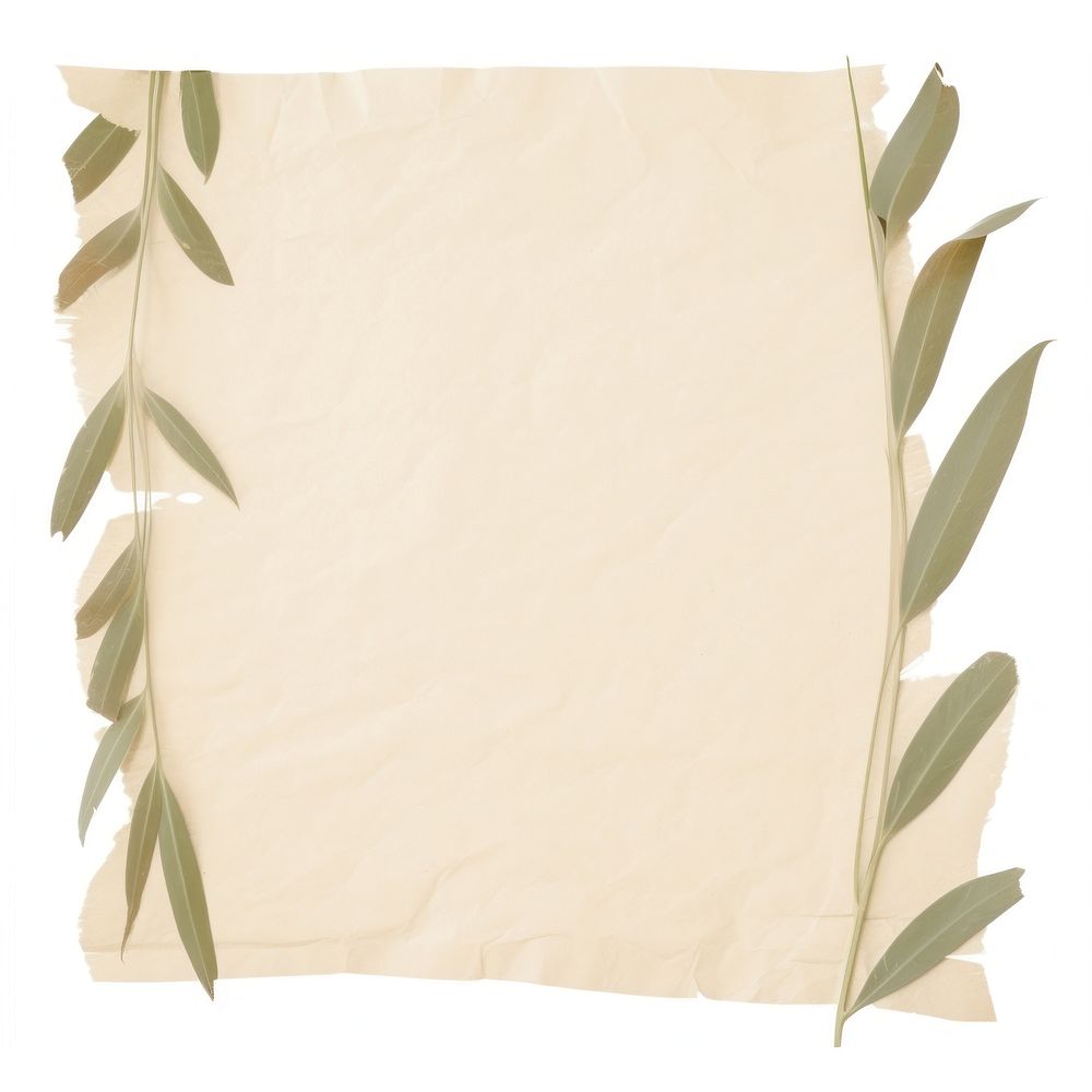 Longifolia ripped paper text cushion pillow.
