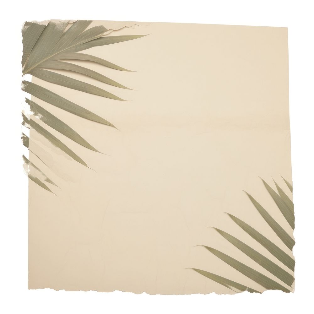Palm leave ripped paper text canvas plant.