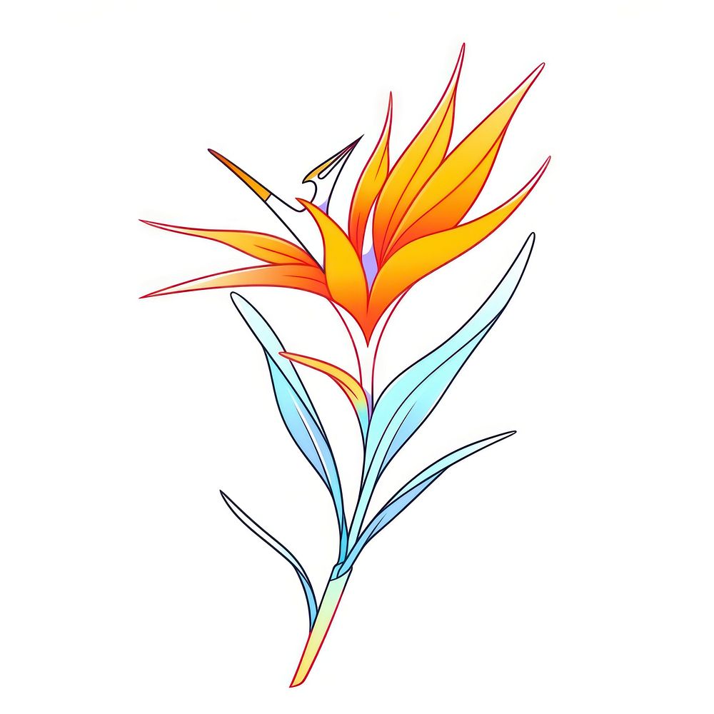 Bird of paradise flower illustrated graphics pattern.