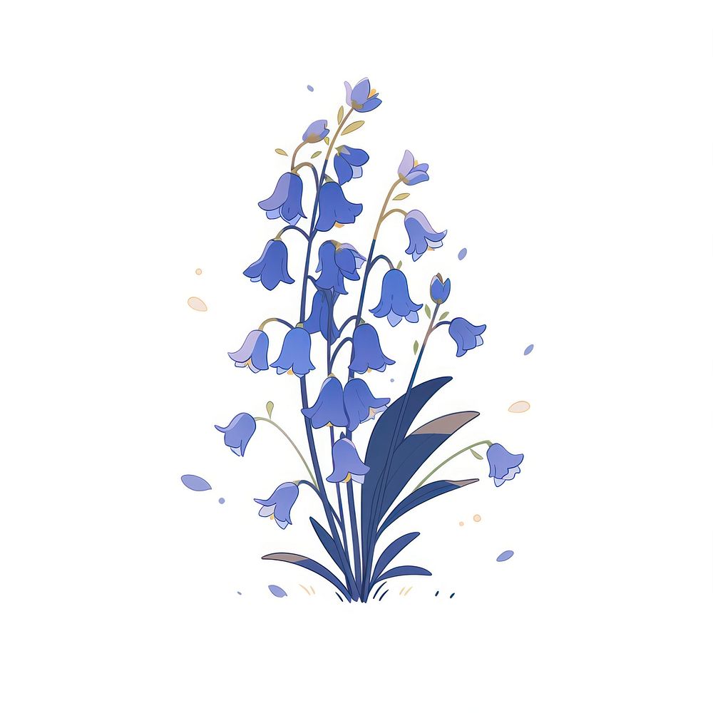 Bluebell flower graphics pattern blossom.