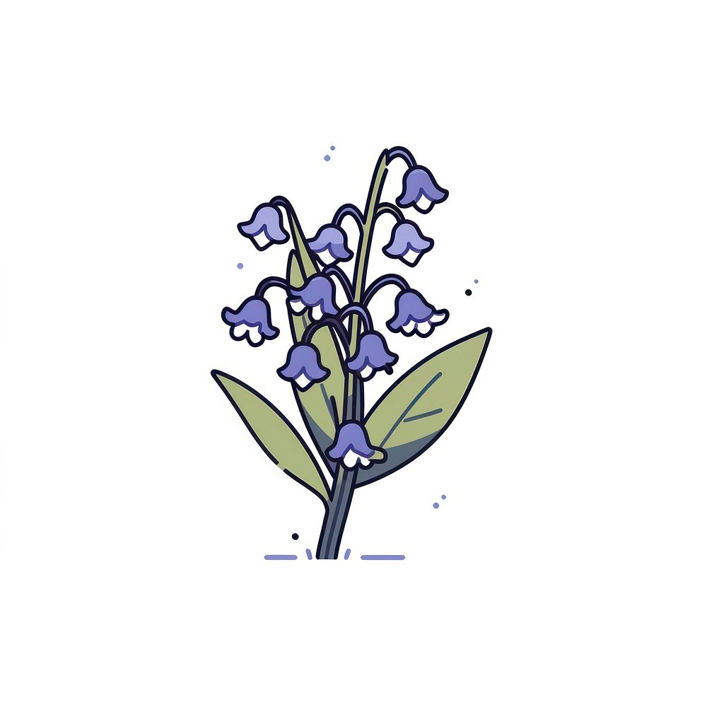 Bluebell flower illustrated lavender blossom.