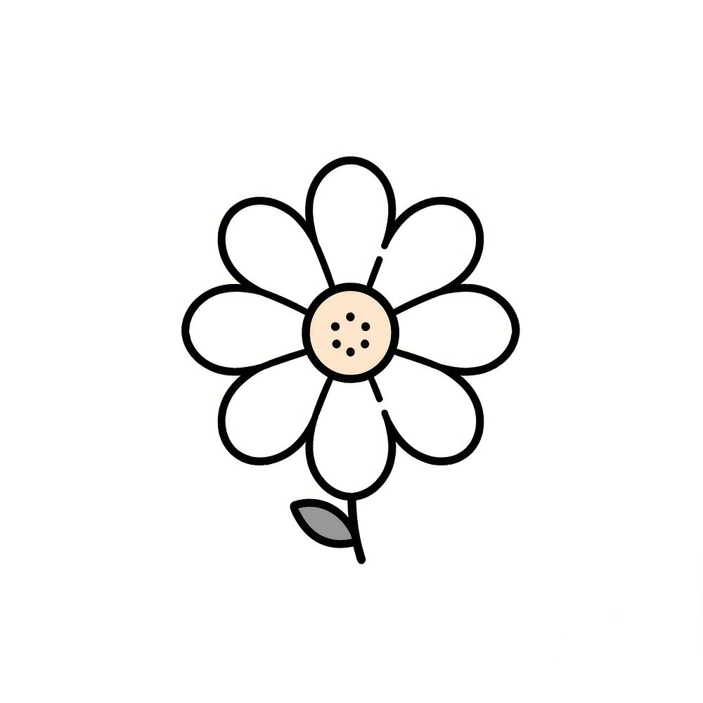 Daisy flower daisy asteraceae blossom.