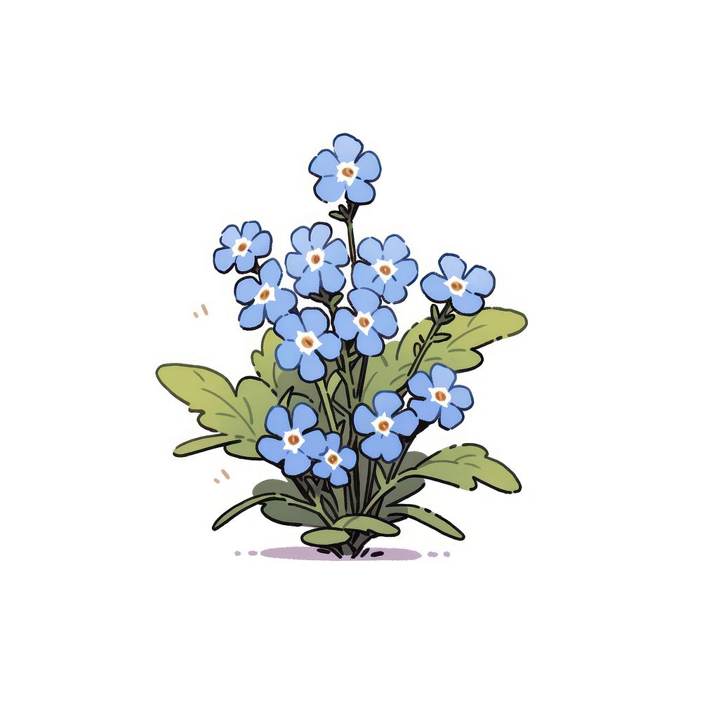 Forget-me-not flower painting graphics blossom.