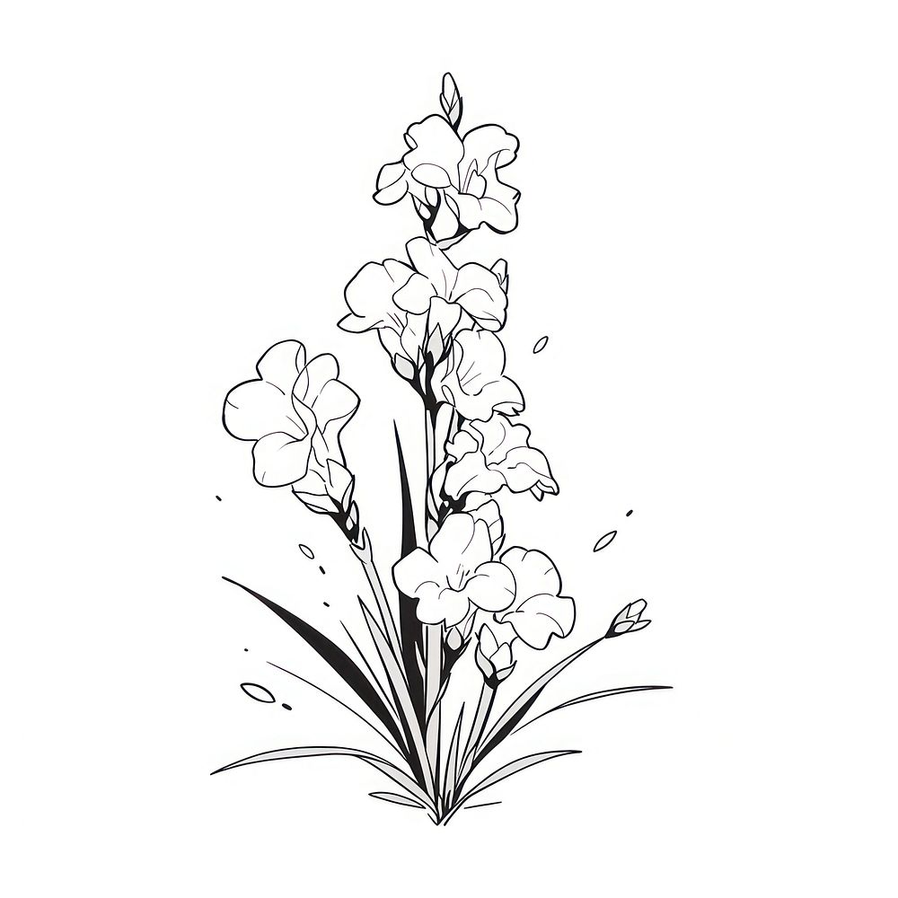 Gladiolus flower illustrated graphics pattern.