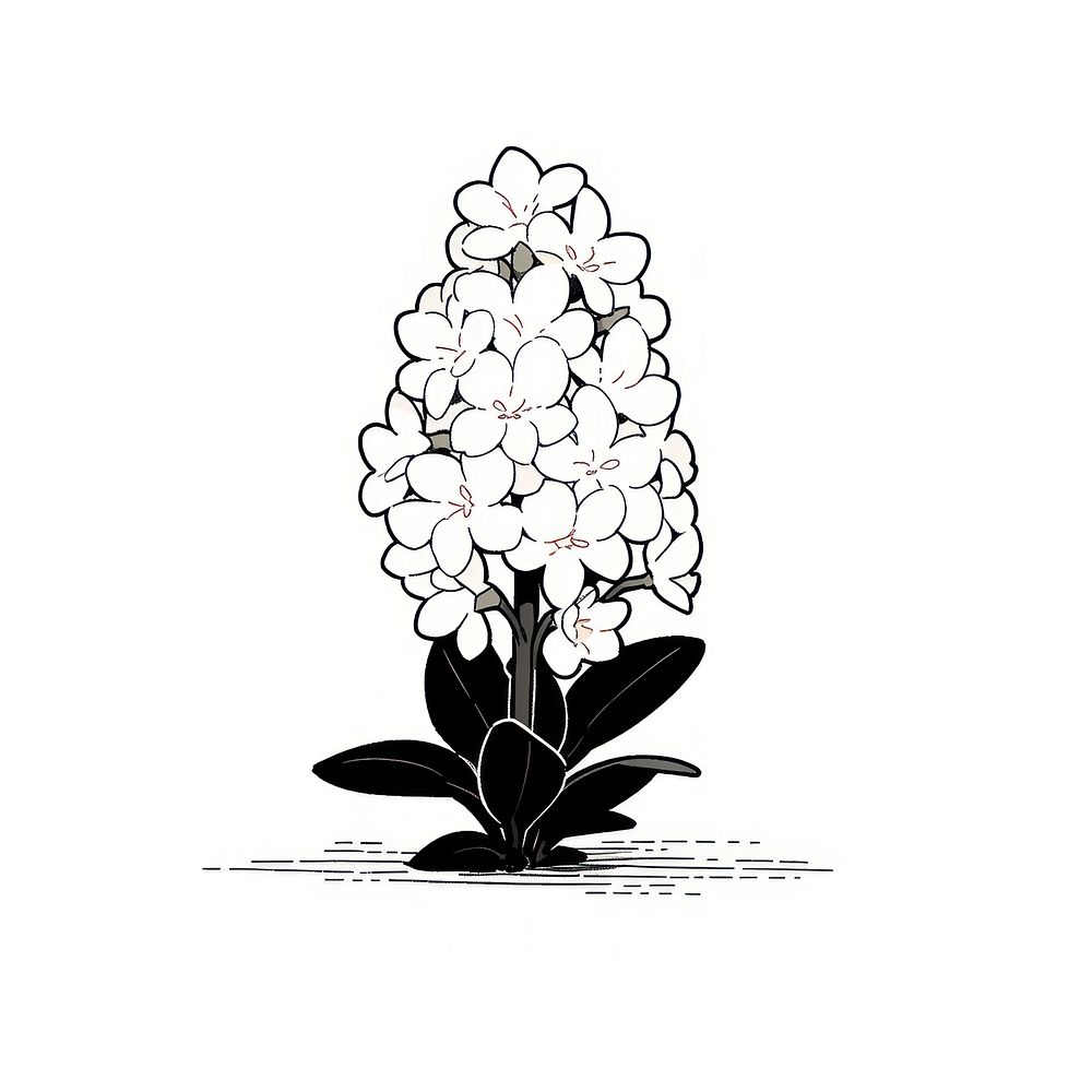 Hyacinth flower illustrated astronomy outdoors.