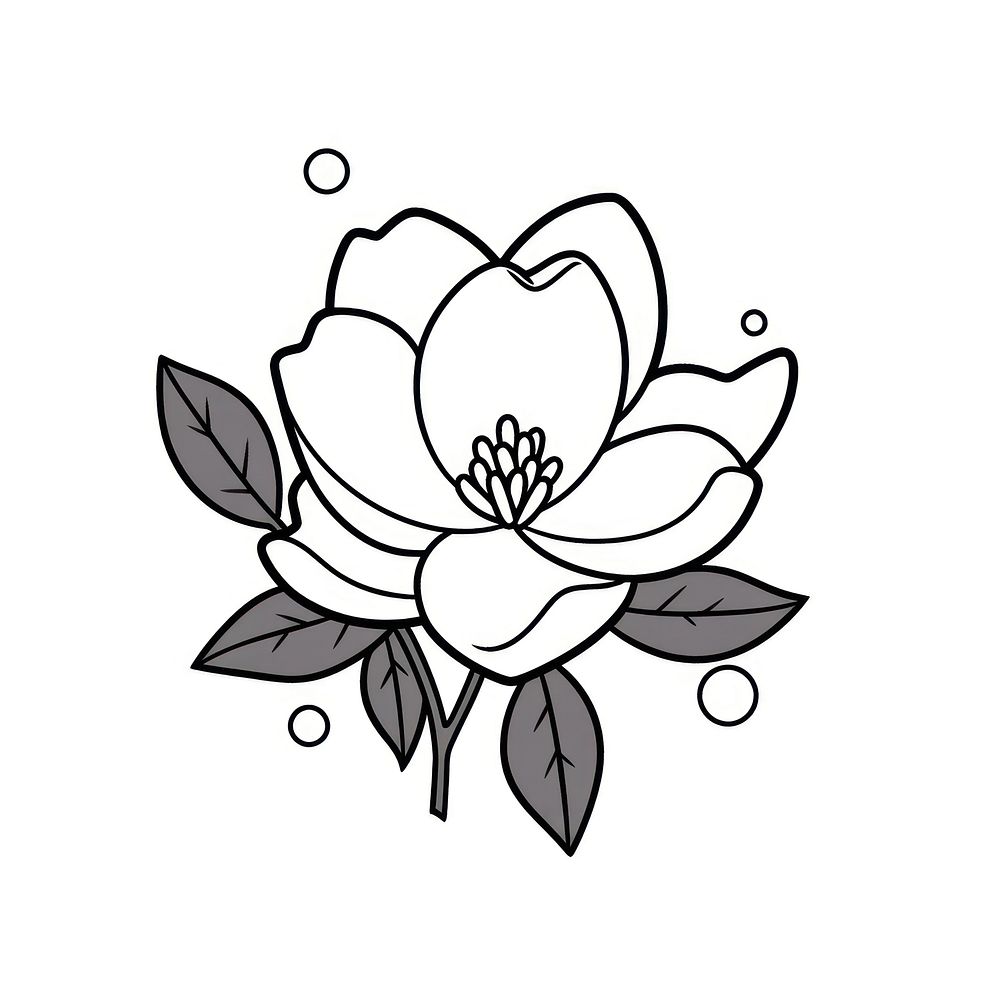 Magnolia flower illustrated graphics pattern.