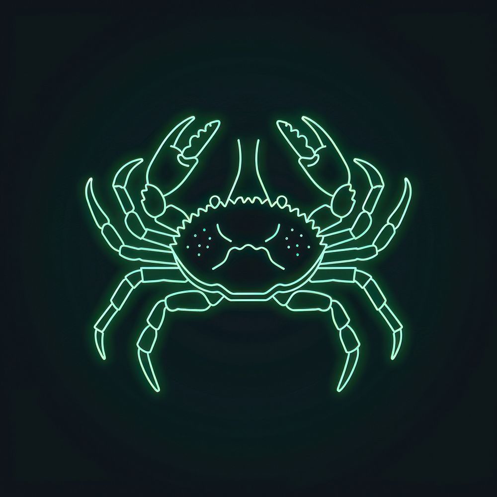 Crab icon invertebrate blackboard seafood.