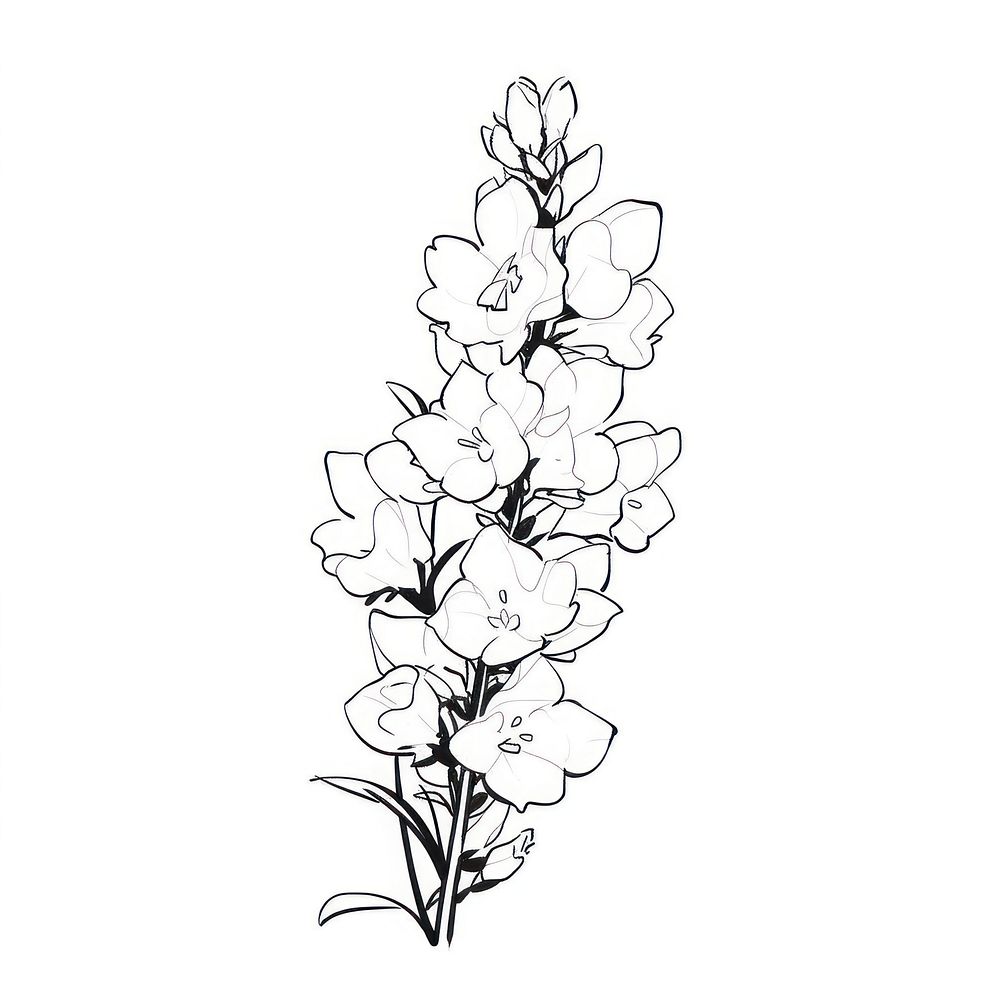 Snapdragon flower illustrated graphics drawing.