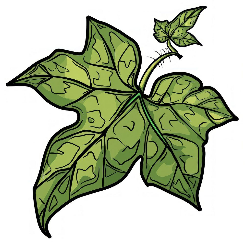 Ivy leaf sycamore animal plant.