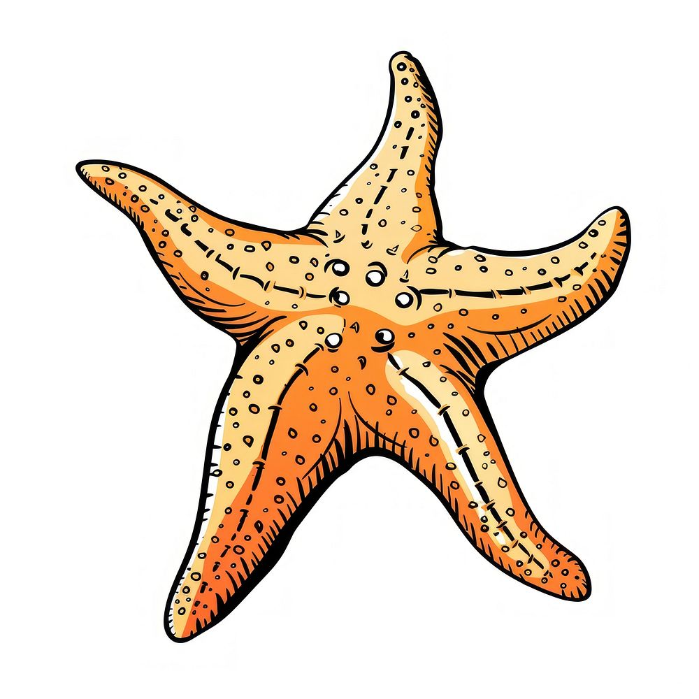 Starfish invertebrate appliance animal.