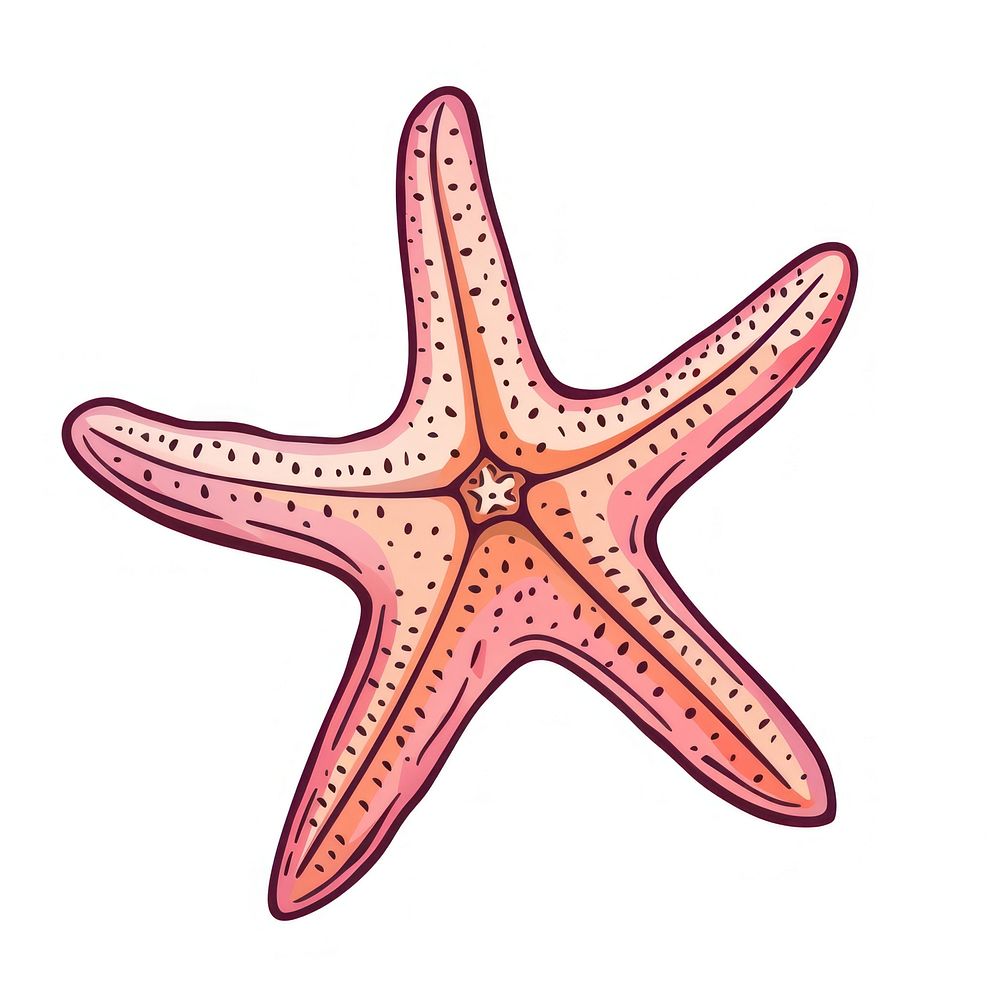 Starfish invertebrate appliance animal.