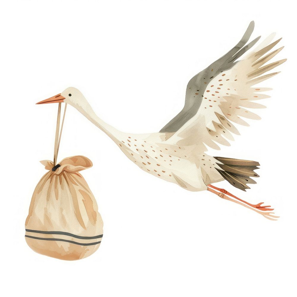Stork flying carrying a baby in a bag waterfowl animal bird.