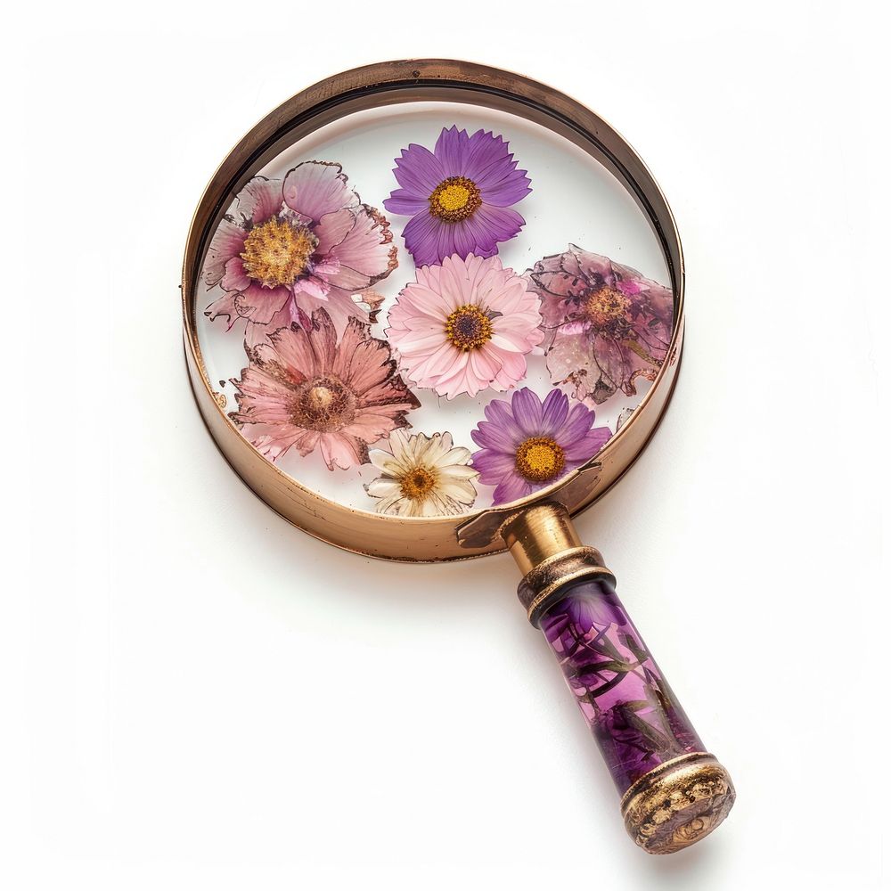 Flower resin magnifying glass shaped asteraceae blossom racket.