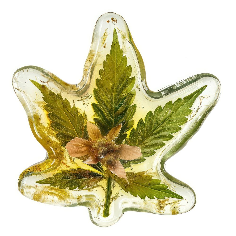 Flower resin marijuana shaped reptile pottery herbal.