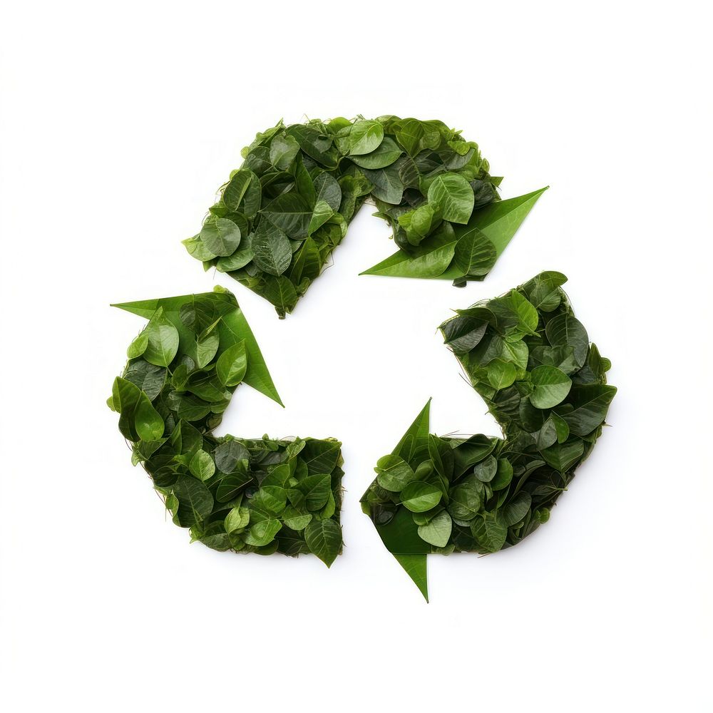 Recycle icon symbol plant green.