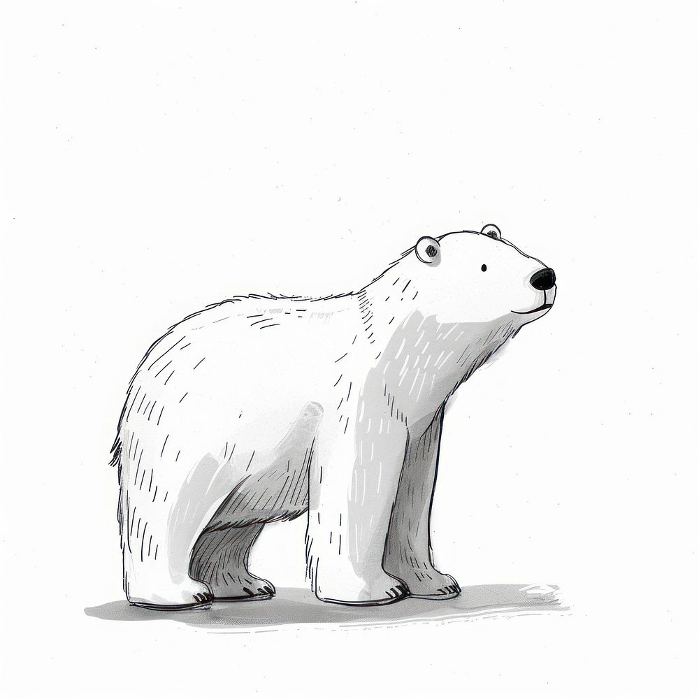 Bear art illustrated polar bear.