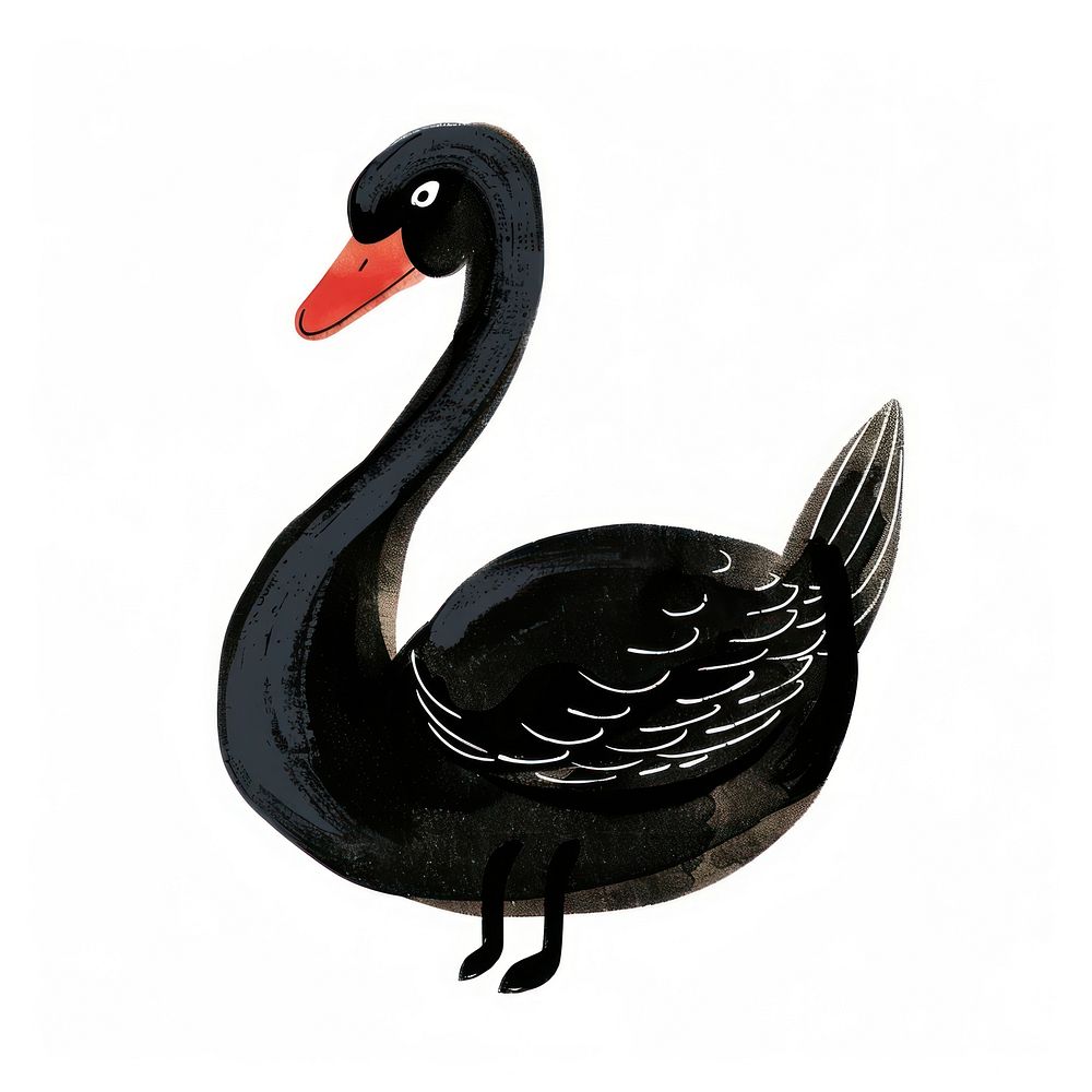 Swan anseriformes waterfowl animal.