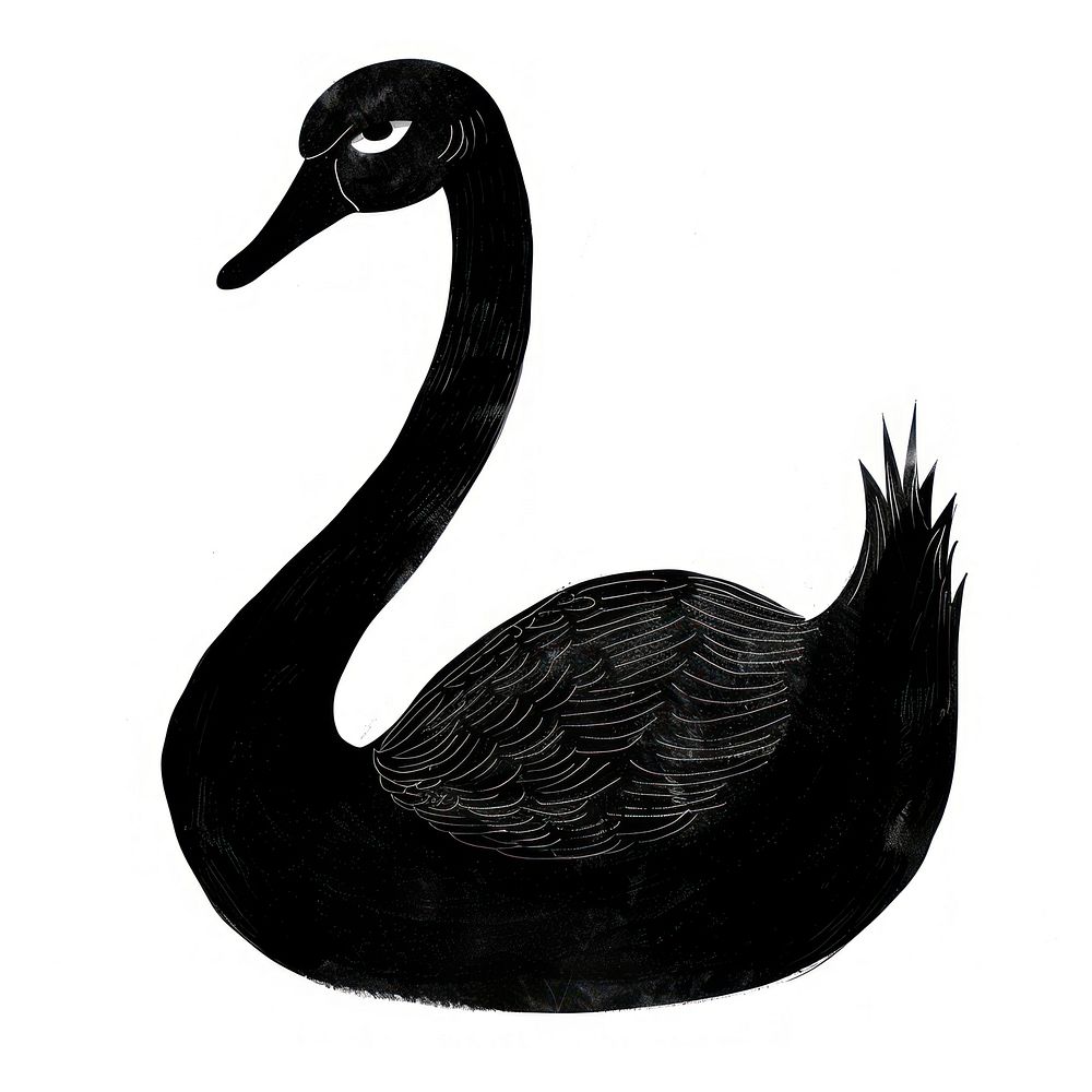 Swan silhouette waterfowl animal.
