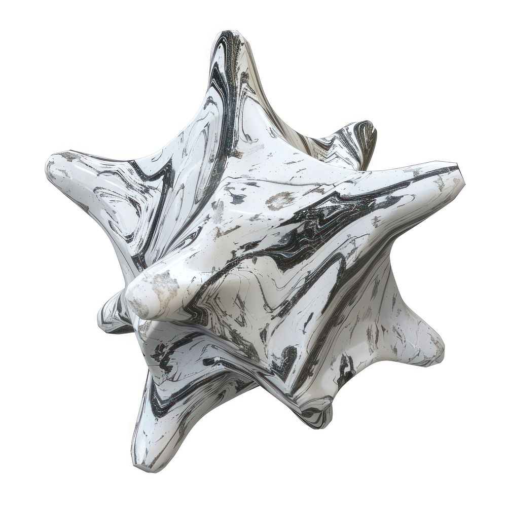Marble star shape form invertebrate seashell animal.