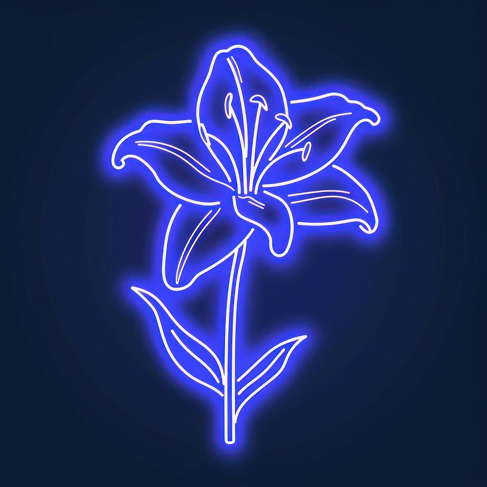 Lily icon neon astronomy outdoors.