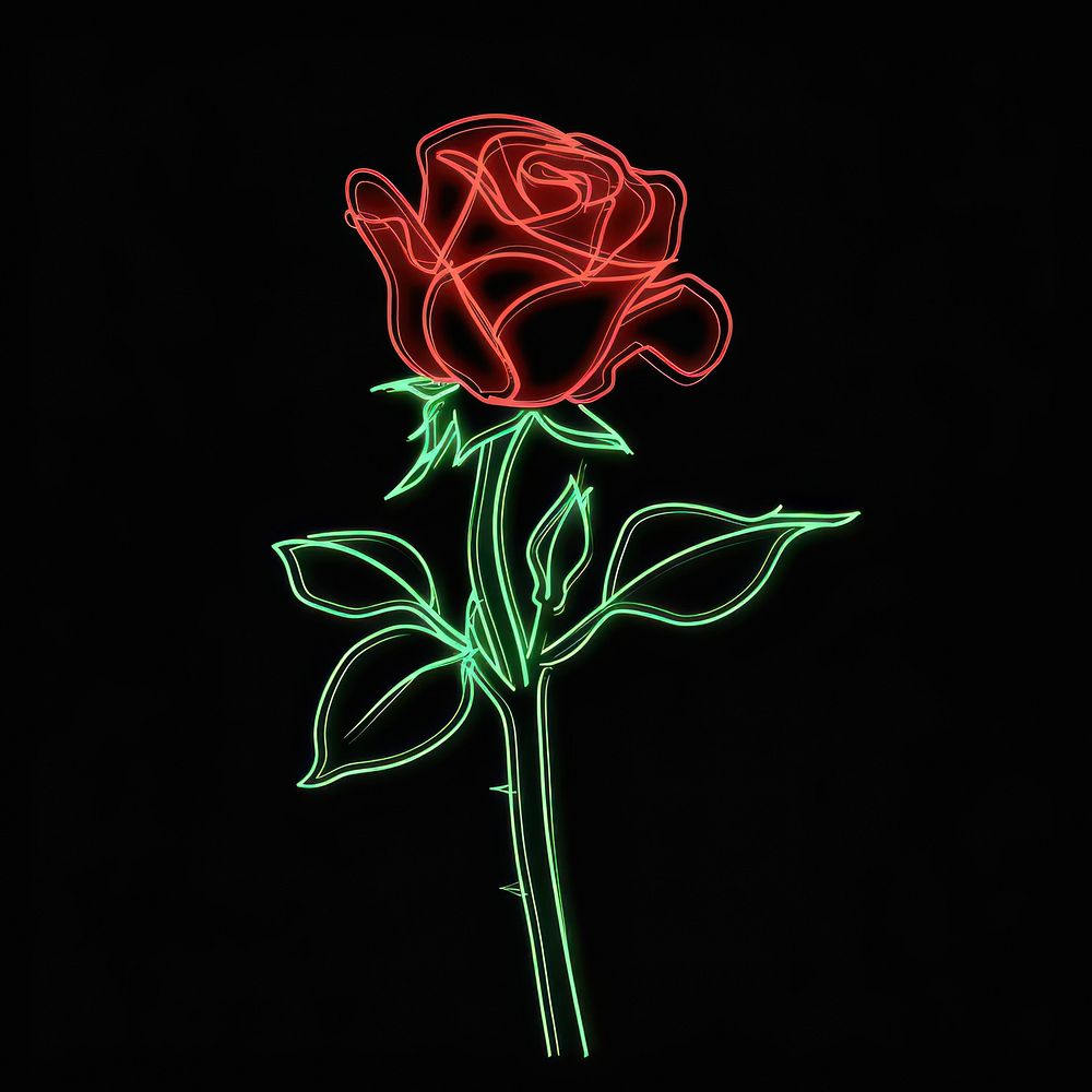 Red rose icon neon lighting outdoors.