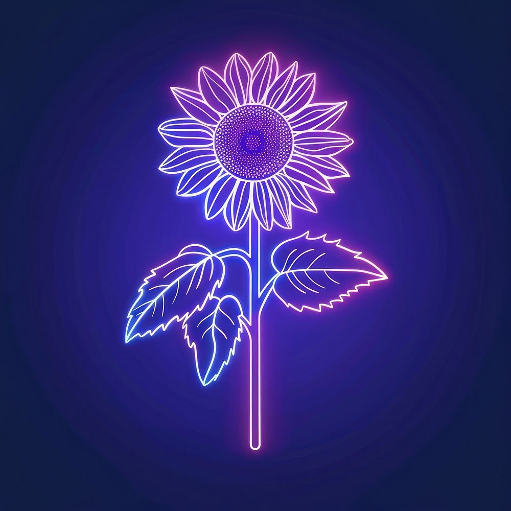 Sunflower icon neon fireworks lighting.