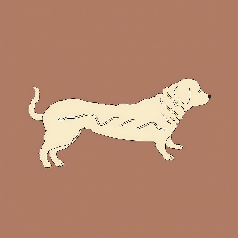 Dog bone animal canine mammal.