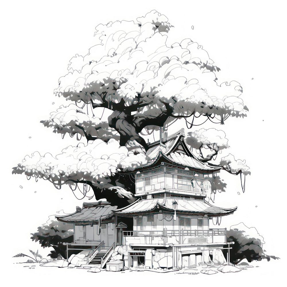 Pagoda Tree illustrated drawing sketch.