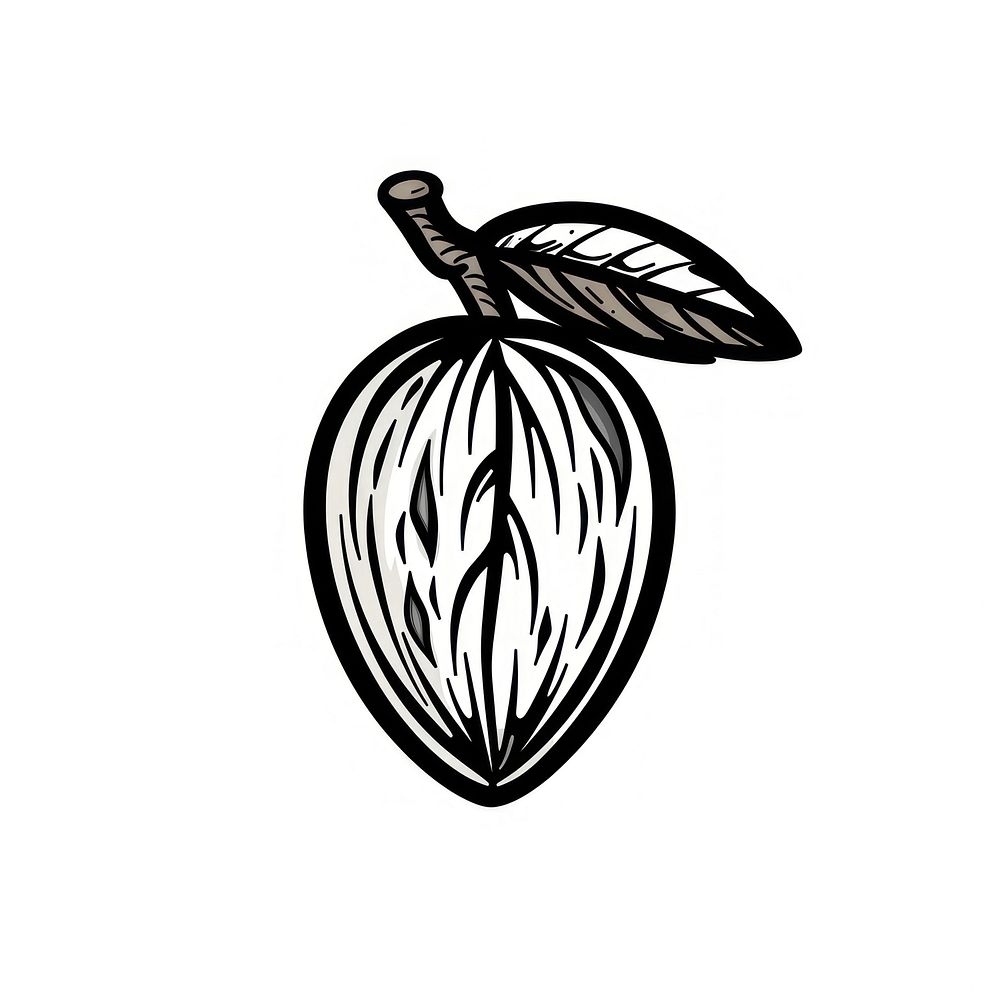 Almond tattoo flat illustration illustrated vegetable produce.