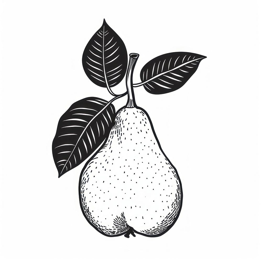 Pear tattoo flat illustration illustrated produce drawing.