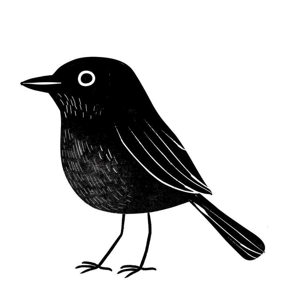 Bird art blackbird agelaius.