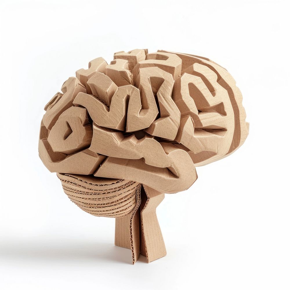 Brain made with cardboard clothing apparel plywood.