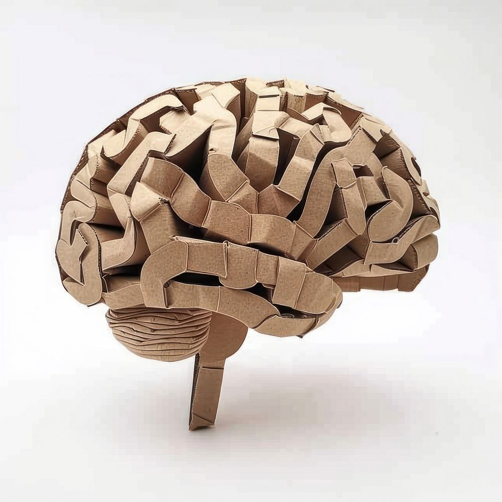 Brain made with cardboard clothing plywood apparel.