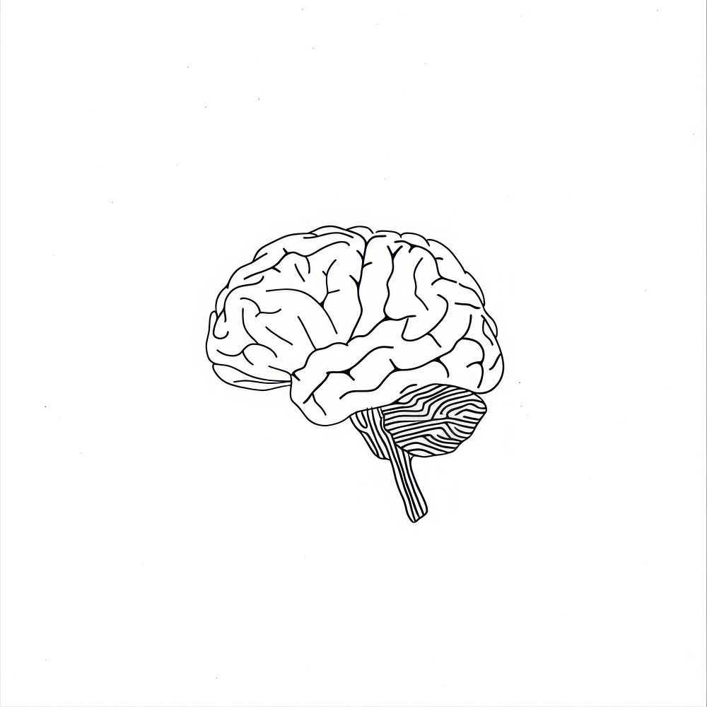 Doodle outline of simple brain illustrated drawing sketch.