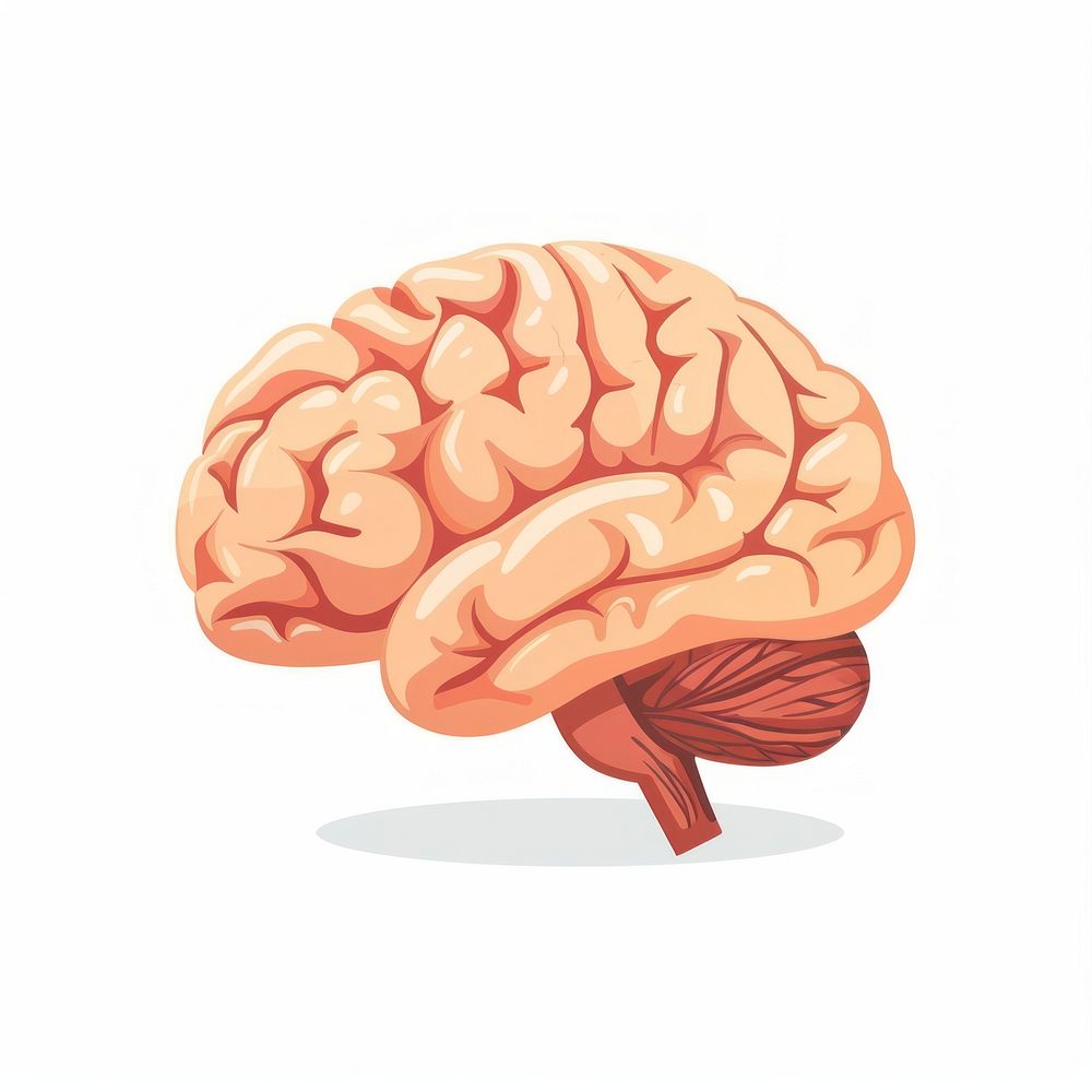 Illustration of brain icon food.