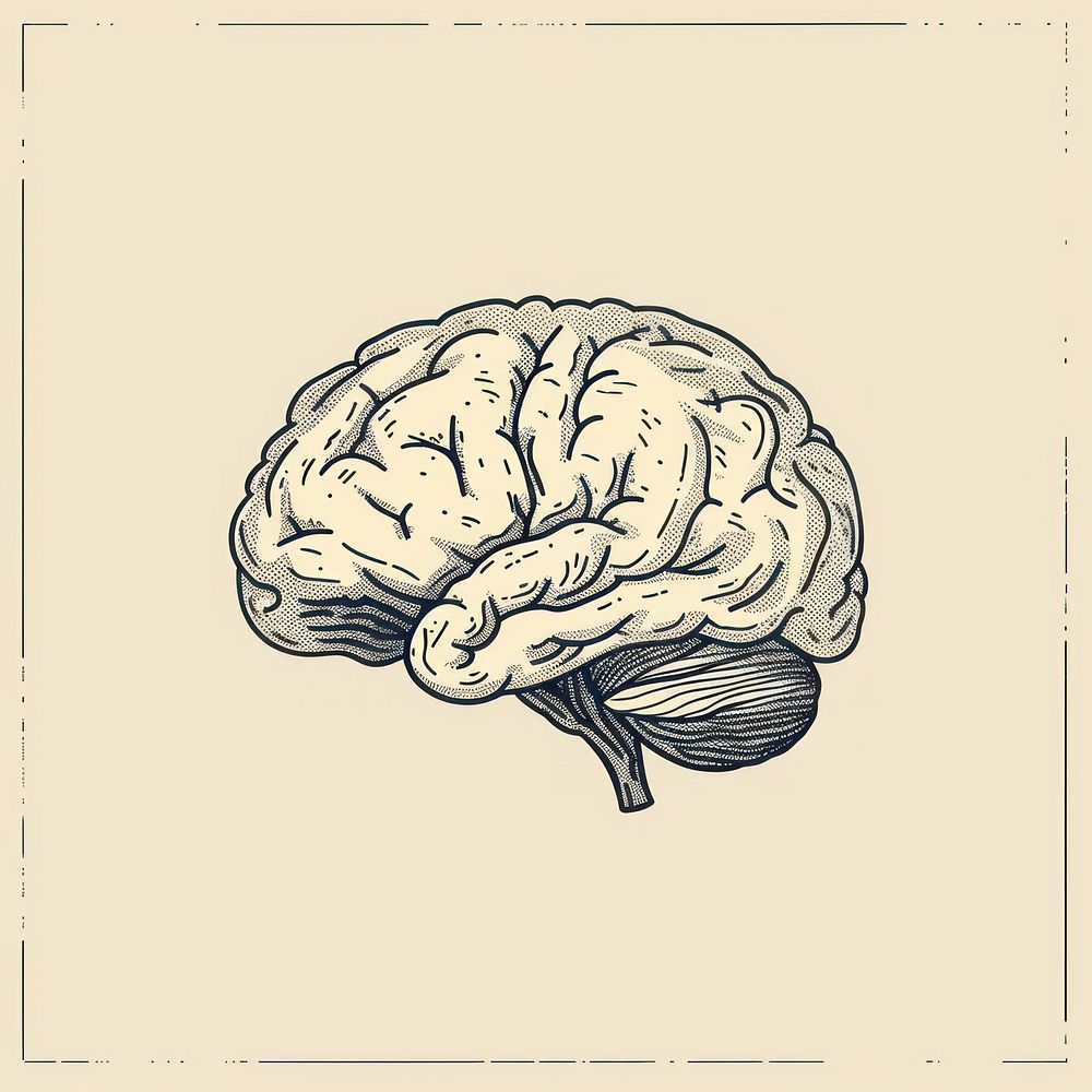Hand drawn of brain drawing illustrated sketch.