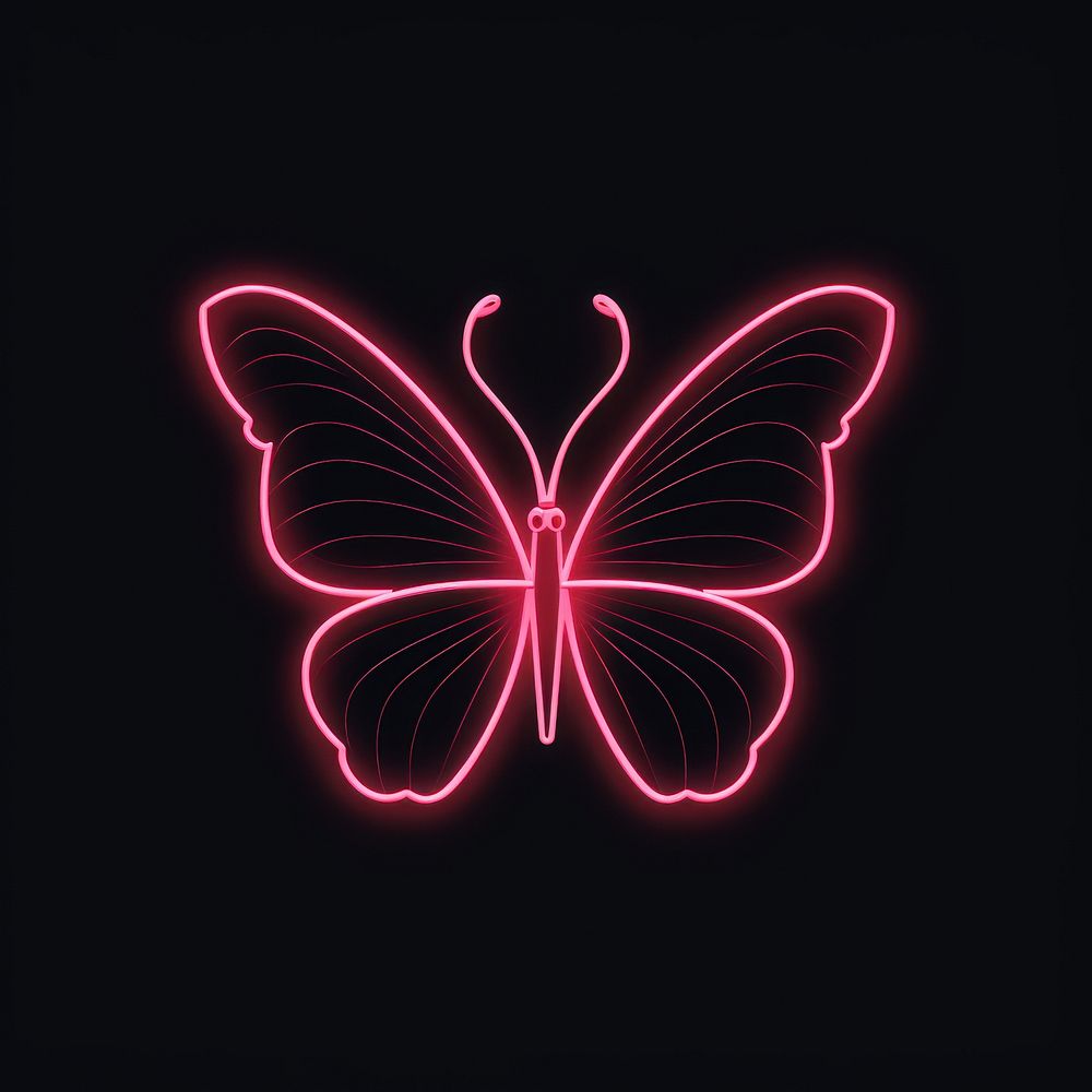 Line neon of butterfly icon chandelier fireworks light.