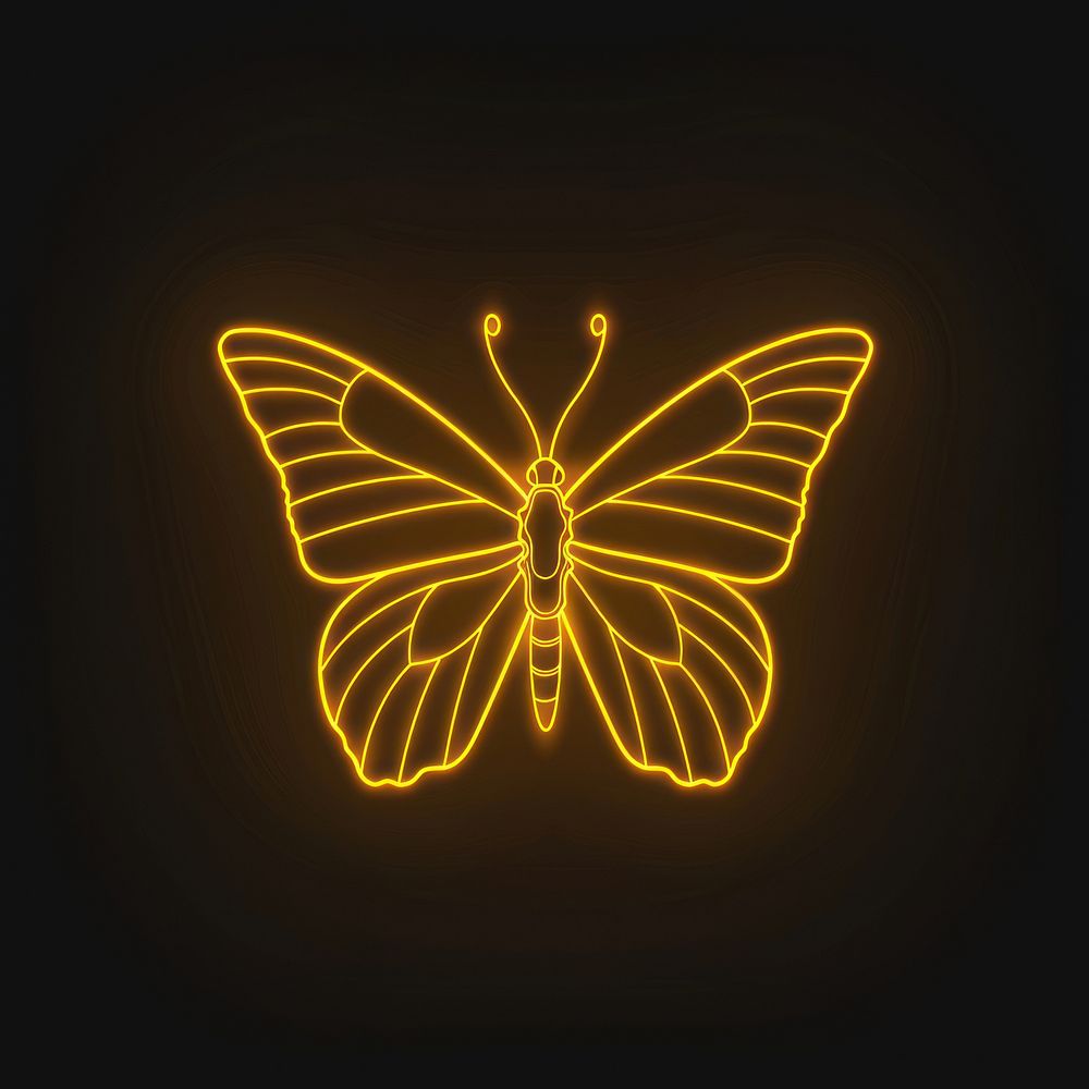 Line neon of butterfly icon chandelier astronomy outdoors.